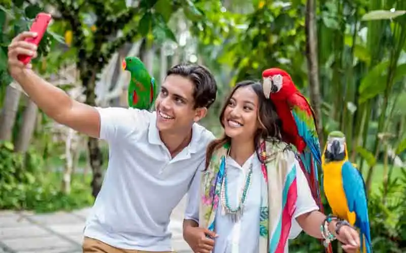 bali bird park bali bird park